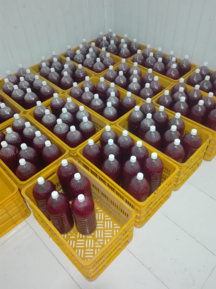 آب انار منجمد یک لیتری بسته بیست عددی