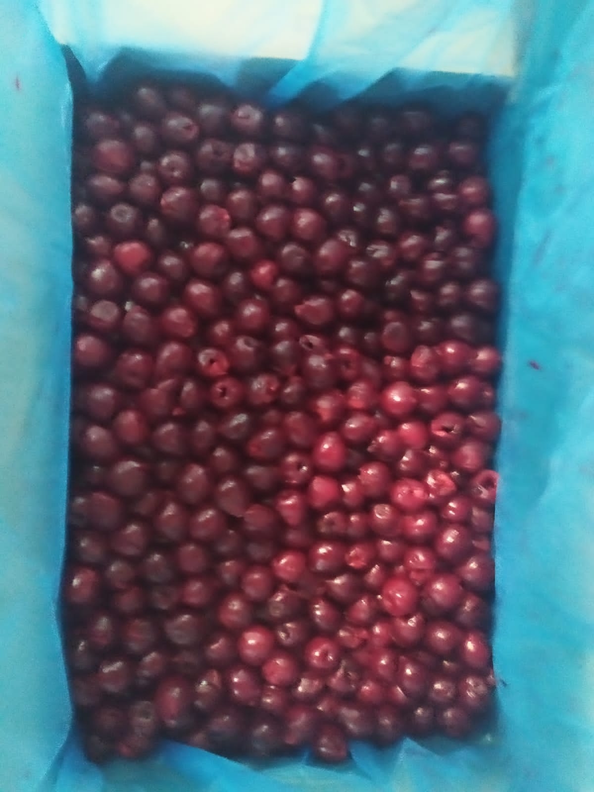 آلبالو سوزنی منجمد بسته هفت کیلویی