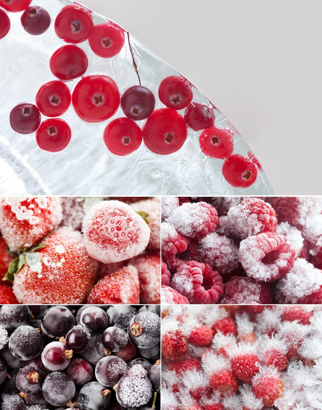 پیشنهاد شگفت انگیز